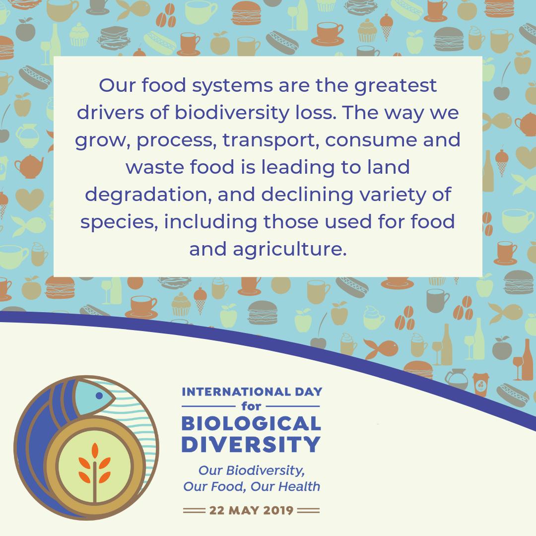 Soil biodiversity is intimately connected with all terrestrial life. Protecting #soil is critical to protecting our ecosystems: goo.gl/DGy5hr #IDB #IntlBiodiversityDay