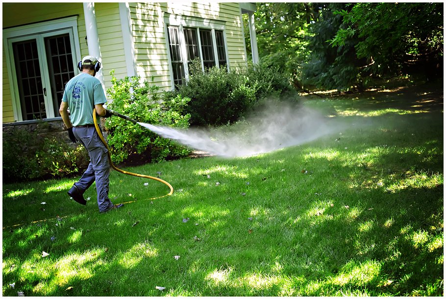 westchestertree's tweet photo. Ask us about organic fertilization. You won’t be sorry!  914-238-0069
https://t.co/9ipbBIENZw

#organic #fetilizer #lawncare https://t.co/zdLYb5oUqy