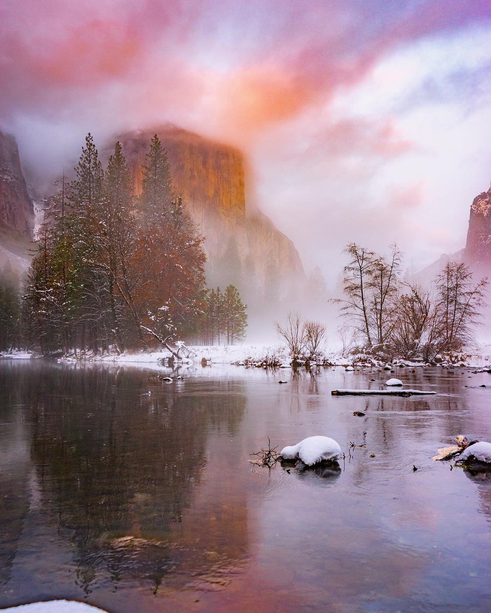 STQRY's tweet image. Did you know that the giant sequoia trees in Yosemite can live up to 3,000 years?

@christinaadelephoto 
#exploreoncell #yosemite #nature