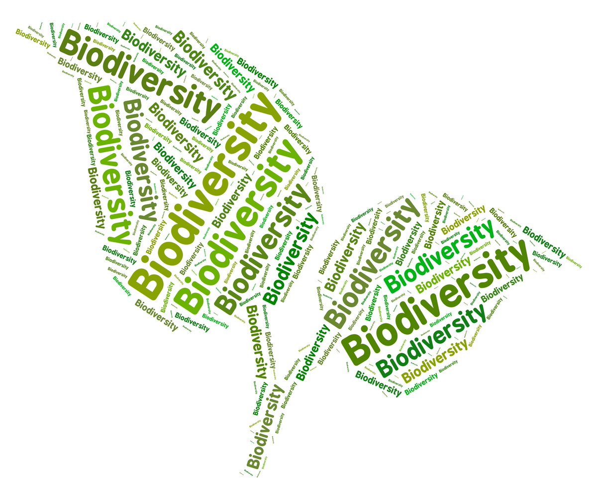 22MobilaneNL's tweet photo. Did you know that today is the international day of biodiversity, proclaimed by the United Nations. This is to make people more aware of the importance of variation in life and our green products stimulate that: https://t.co/u02YcY7b0X #WorldBiodiversityDay  #BiodiversityDay https://t.co/I5TheTowma