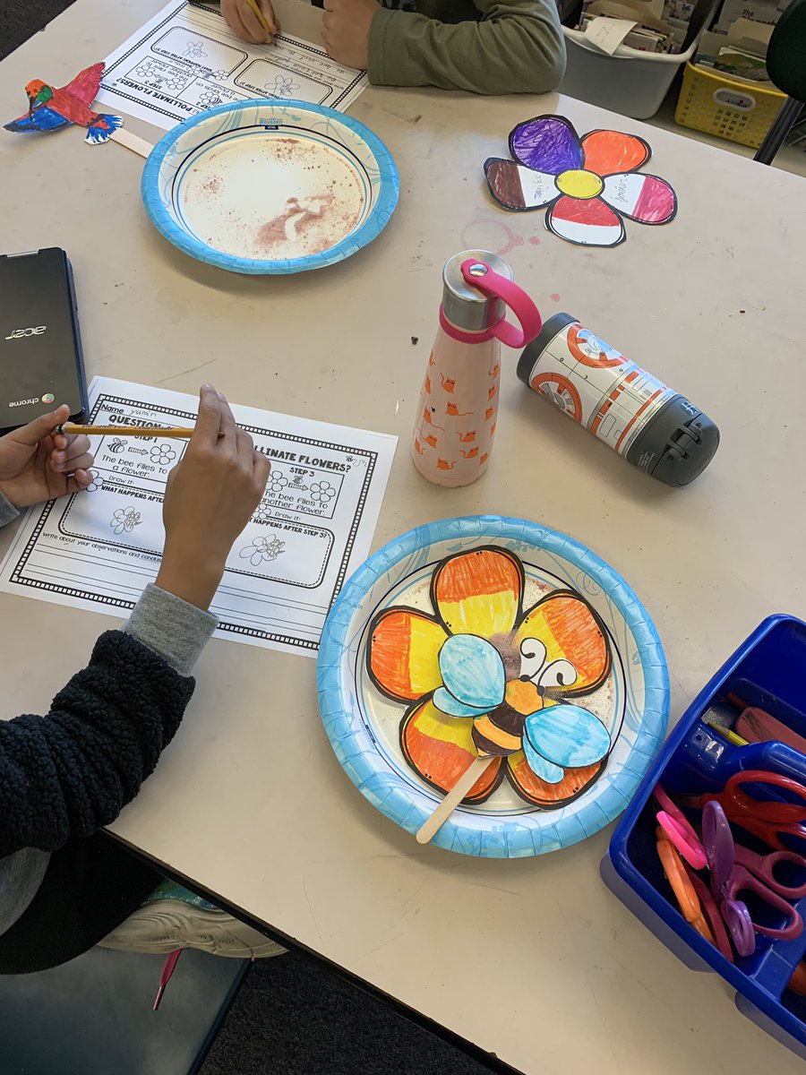 icsdpluckrose's tweet photo. Pollination activity was a success!@IthacaNYSchools @NortheastES https://t.co/FFTufLKb4X
