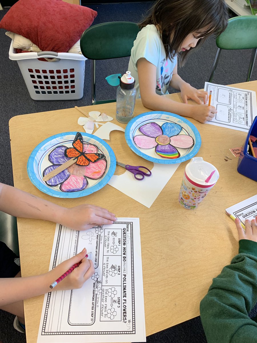 icsdpluckrose's tweet photo. Pollination activity was a success!@IthacaNYSchools @NortheastES https://t.co/FFTufLKb4X