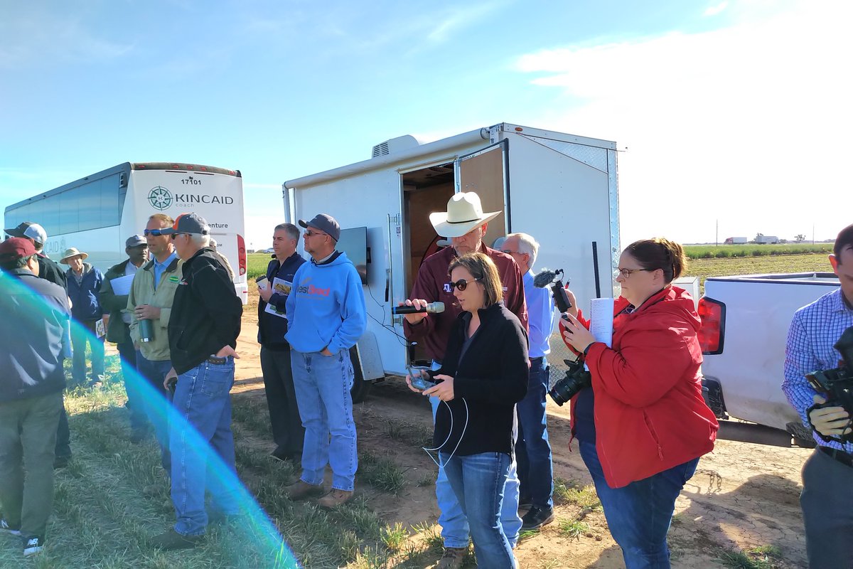 Texas High Plains Plant Disease Diagnostic Lab (thppdd_lab) Twitter