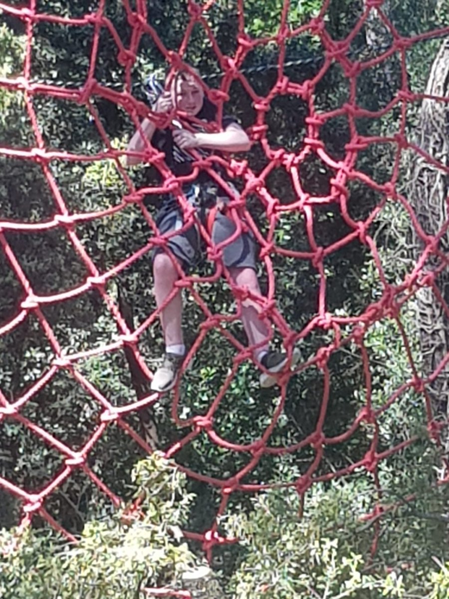 CBS1962's tweet photo. The boys stopped off at 'Parc Accrobranches' on their way to the second camp 'Mimosa'. As you can see they made the most of the various obstacles and zip lines #nofear #cbsontour https://t.co/rEBn1knnkq