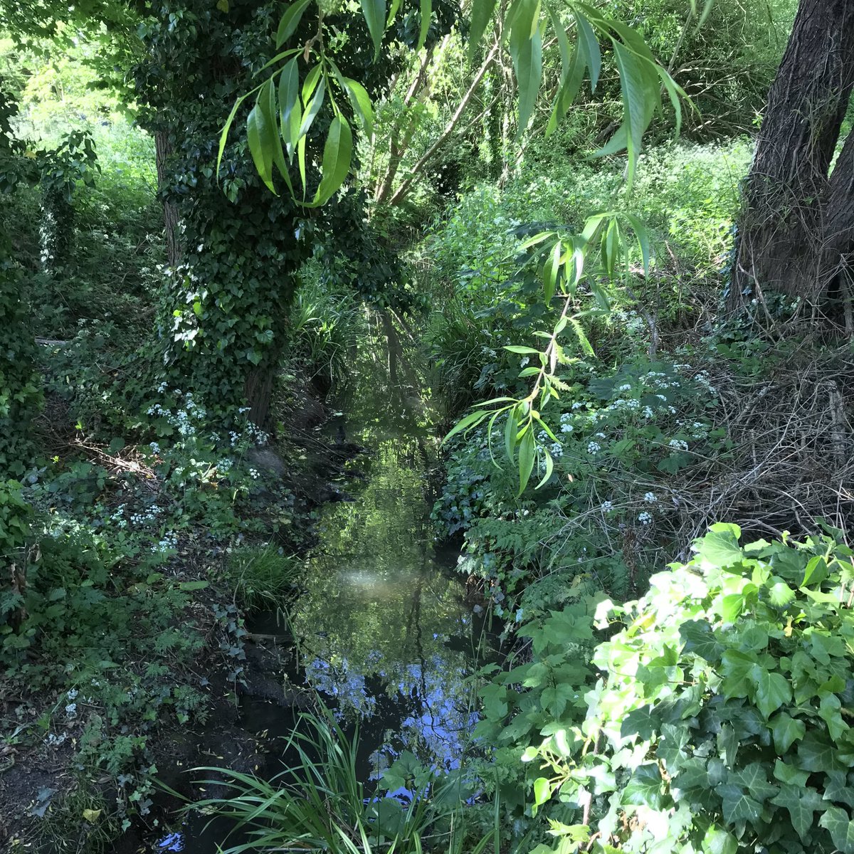 seeyouonsmithstreet tweet media