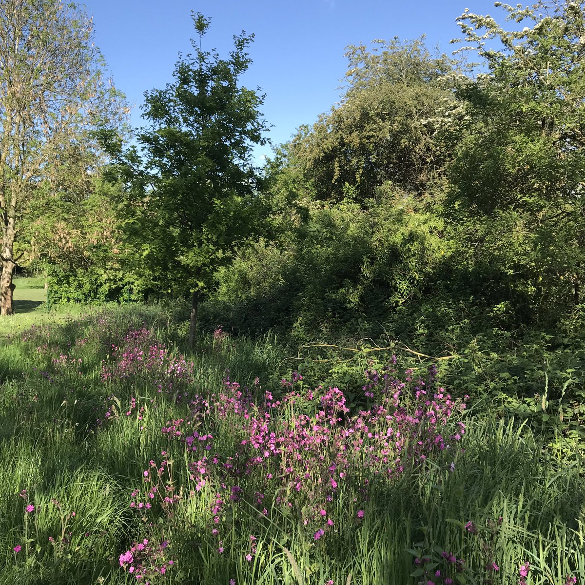 seeyouonsmithstreet tweet media