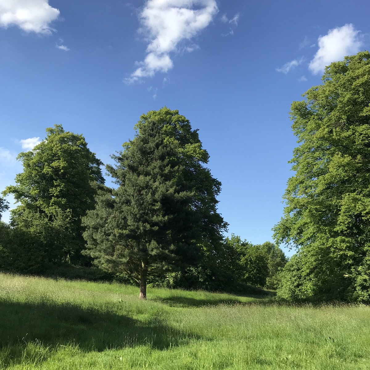 seeyouonsmithstreet tweet media