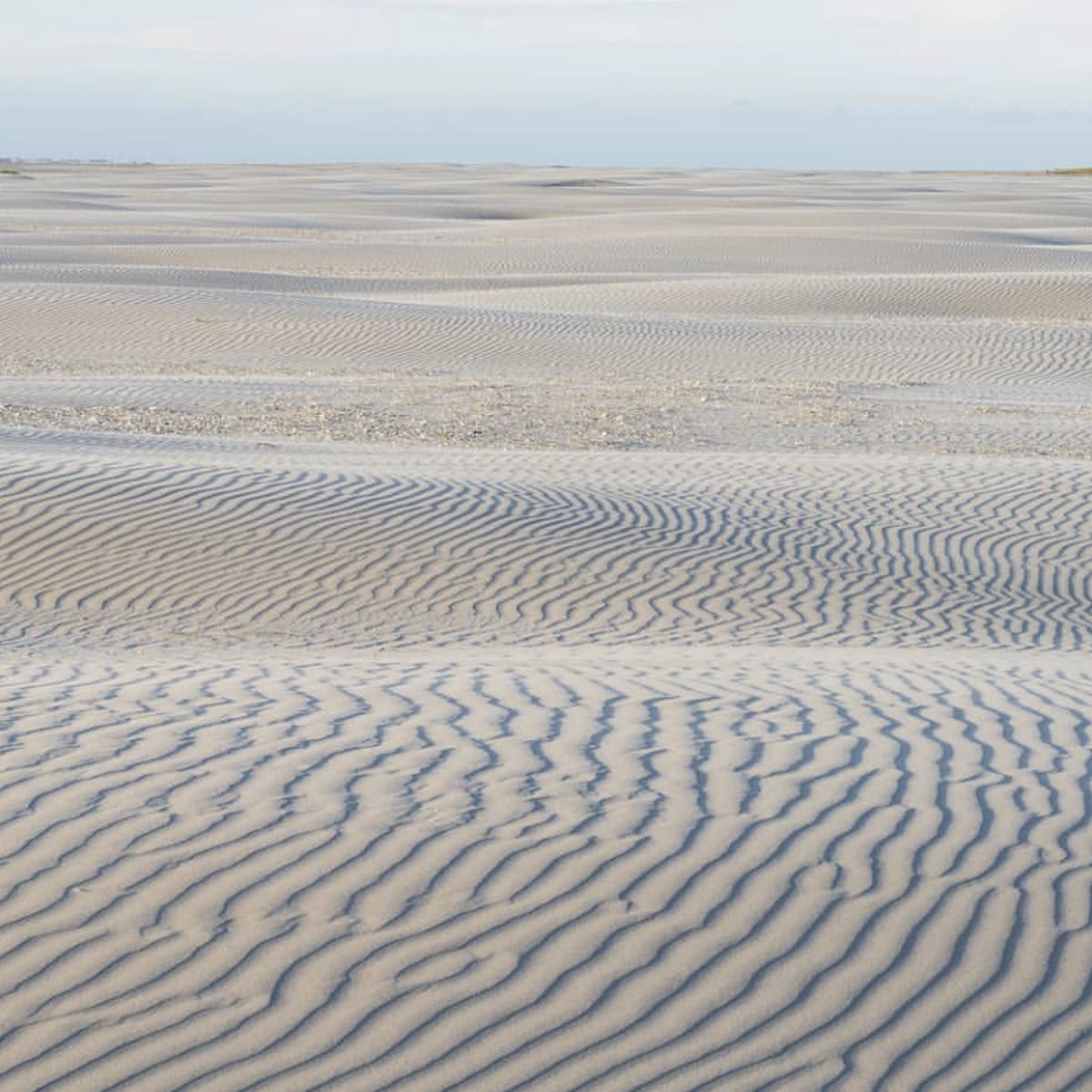 FrontRugs's tweet photo. Sand dunes and Michaela Schleypen’s ‘Floating Curl’, with its spectacular optical illusion of sand waves; pure beauty of form and texture. Explore more: https://t.co/UfMqG2y3Qq

#frontrugs #MichaelaSchleypen #rugdesign #interiordesign #texture https://t.co/8rt9gfMW9N