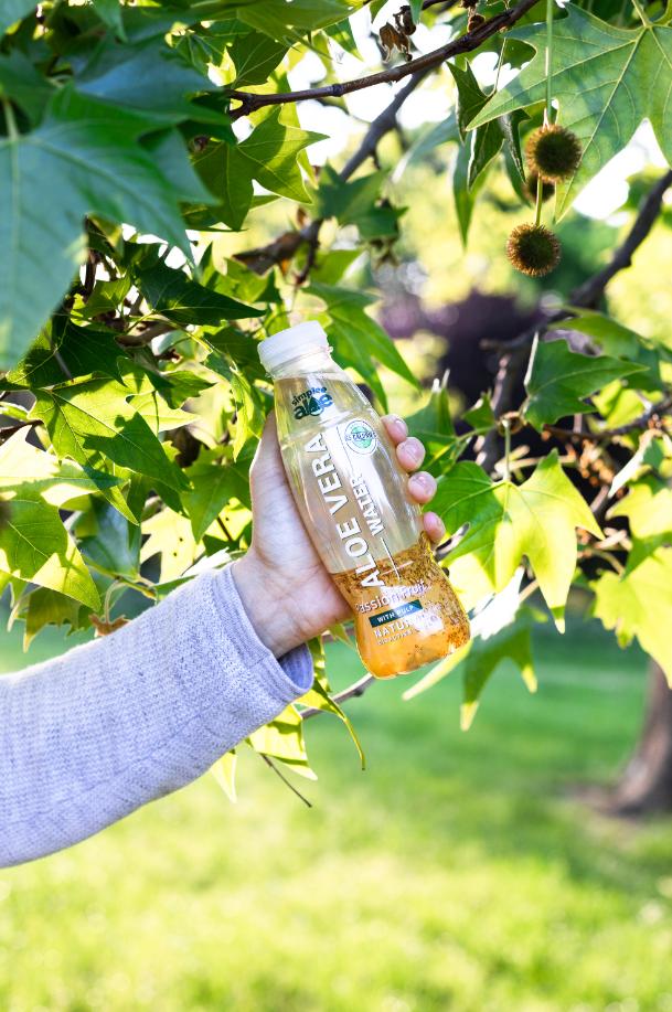 SimpleeAloe's tweet image. Suffering a hangover from #ThirstyThursday drinks last night?! 😉 Our Aloe waters are an awesome hangover cure for a sore head... Hydrating &amp;amp; packed with anti-inflammatory properties to soothe an aching gut 🌱💦 Available from our website or @Wasabi_UK 🍣 #AloeEveryday