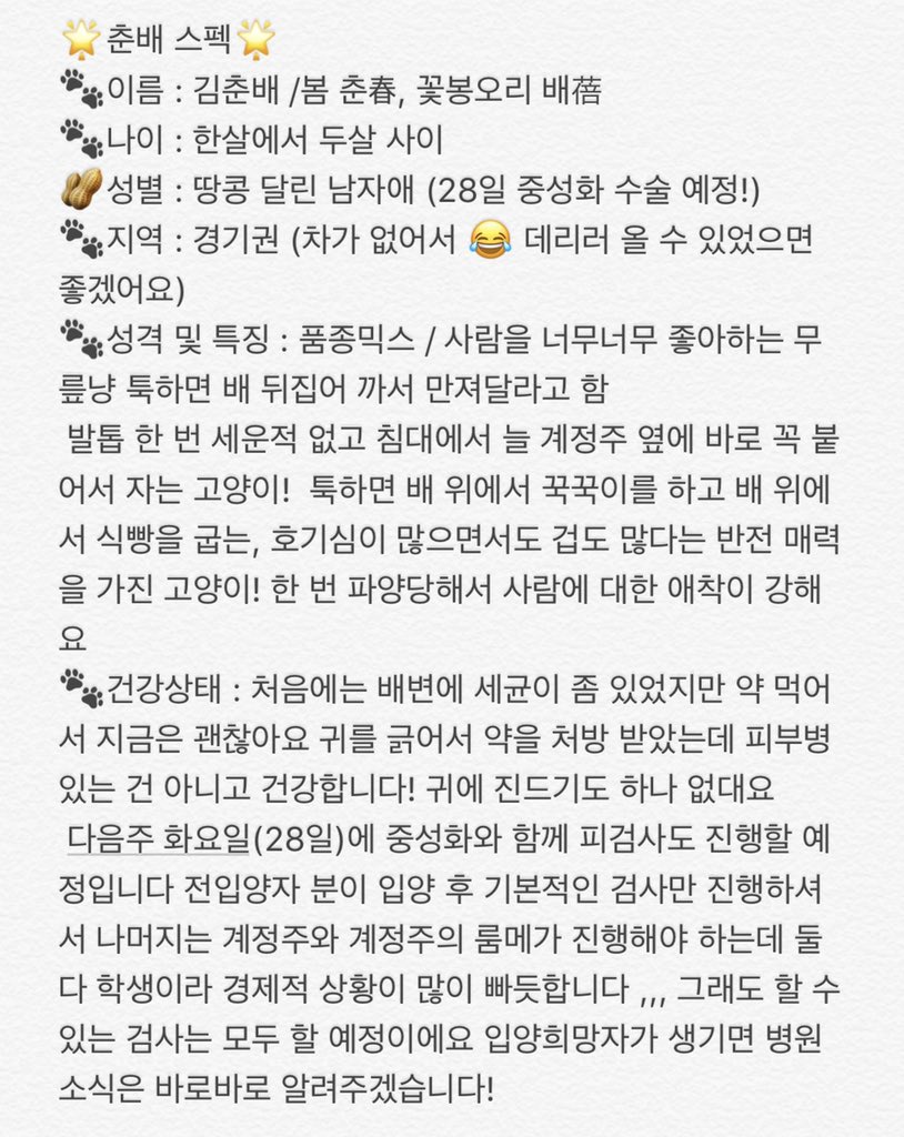 8_he2's tweet photo. [RT부탁드립니다]
귀여운 고양이 춘배의 입양처를 구합니다! 
춘배는 유기냥으로 길거리에 버려졌고 한 번 입양갔지만 파양당해서 (오줌 실수 문제) 다시 임보처로 돌아왔습니다 😭 아직 임보처에서는 오줌 실수를 하지 않았어요 전입양자 분이 털을 짧게 자르셔서 지금은 털이 짧아요 https://t.co/1O7VkowrhO