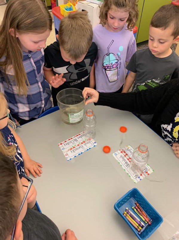 ForestHillsSD's tweet photo. Mrs. Stiffler's AM Pre-K is learning about tadpoles today. https://t.co/WsQ4SjVOj8
