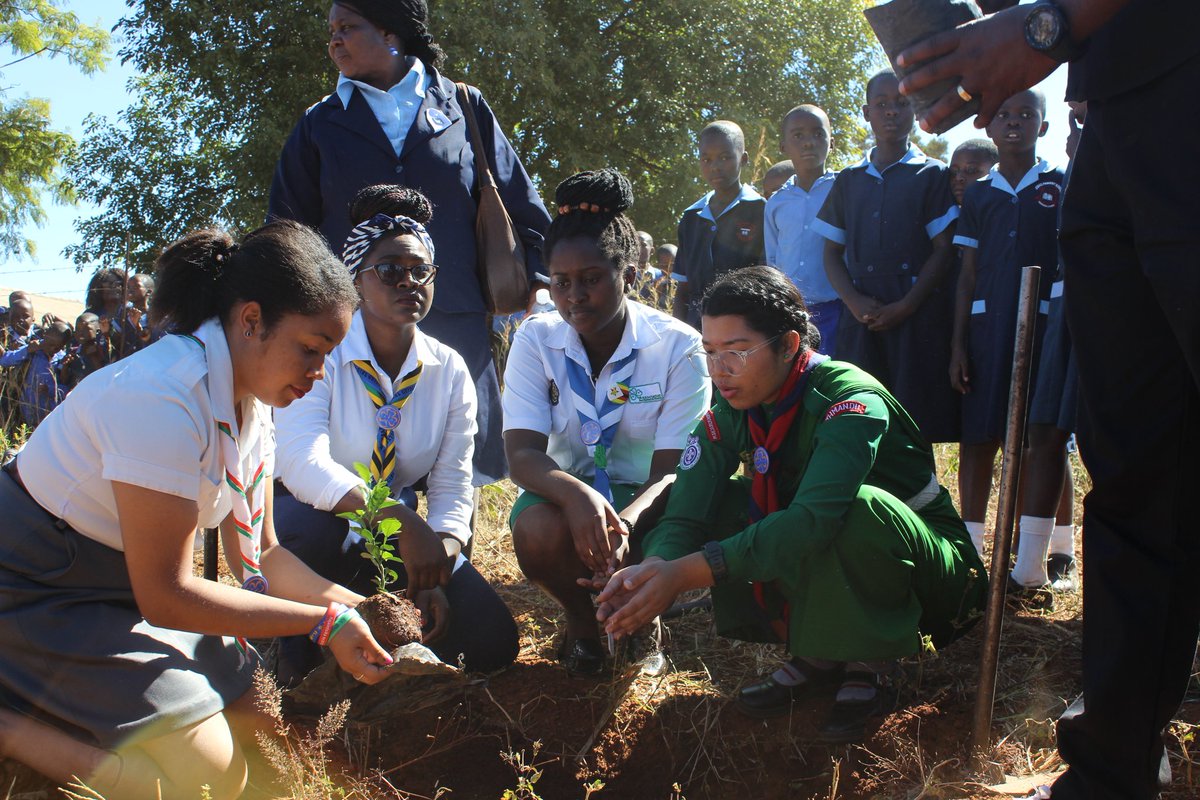 ZimbabweYess's tweet photo. On the very same day we planted 500 trees in Jonas Primary School Field. We were helped by the School administration and the students as well.
#greentechgeneration
#letsgrowgreen
#protectourenvironment
#yessgirlsmovement
#yess2019
#yessgirlsteamzimbabwe
#Norecno 
#WAGGGS https://t.co/4rWghNtMDU