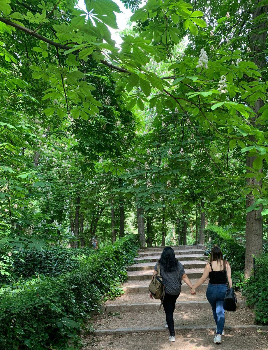 AleRoca4's tweet photo. To be free is not to be a passing wind, to be free is to be a lover of a home.💛 #Retiro #Madrid #Verde #pazparaelcorazon #grandespersonas https://t.co/CewxSKftCF