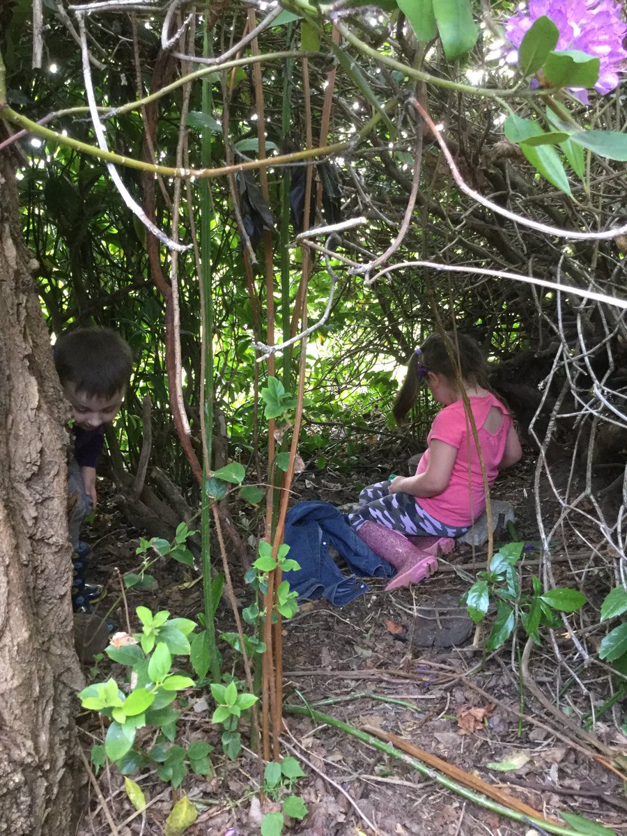 ForestScientia's tweet photo. Our reception class Aristotle made dinosaur dens today! They worked well in groups, chosen by themselves, with who they wouldn’t normally work with in the classroom. #forestschool #dinodens #imaginativeplay #groupwork https://t.co/6XqkcNNLI9