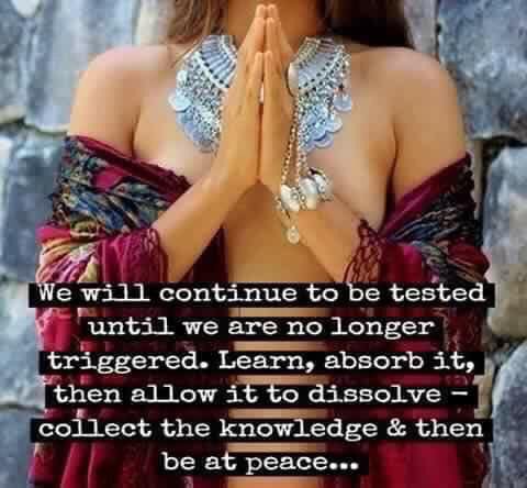 SVBVisionBoards's tweet image. 