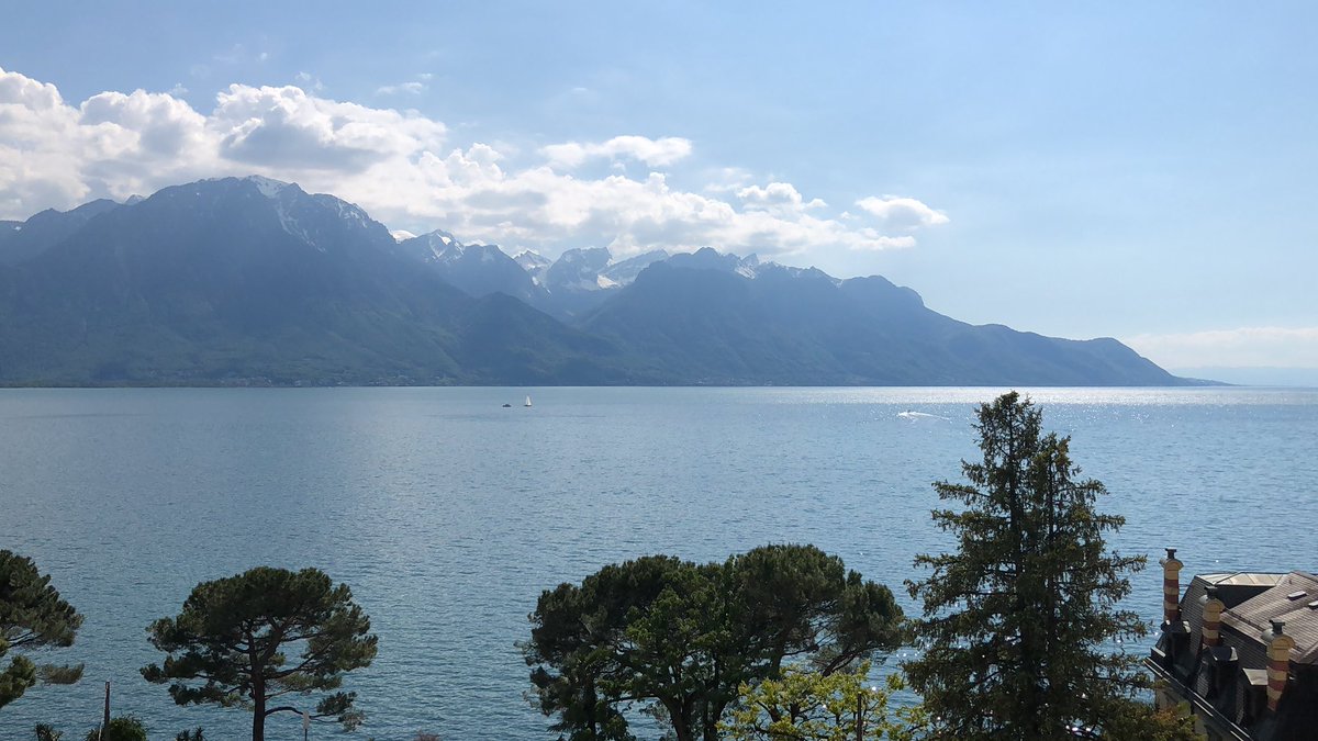 Matt Marshall tweet media