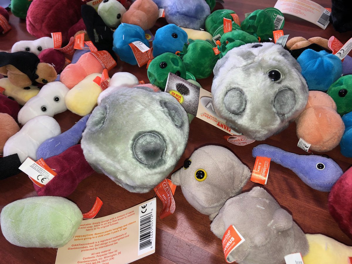 berniwood's tweet photo. Germ dolls at the Antibotics Matter event. #Antiboticmatters #savingantiboticsbecause @CADTH_ACMTS @ARNPEI @PEIPharmacists @MSPEI_docs @PEISMLS @HealthPEI @PEIwellness https://t.co/Wp77nohI9W