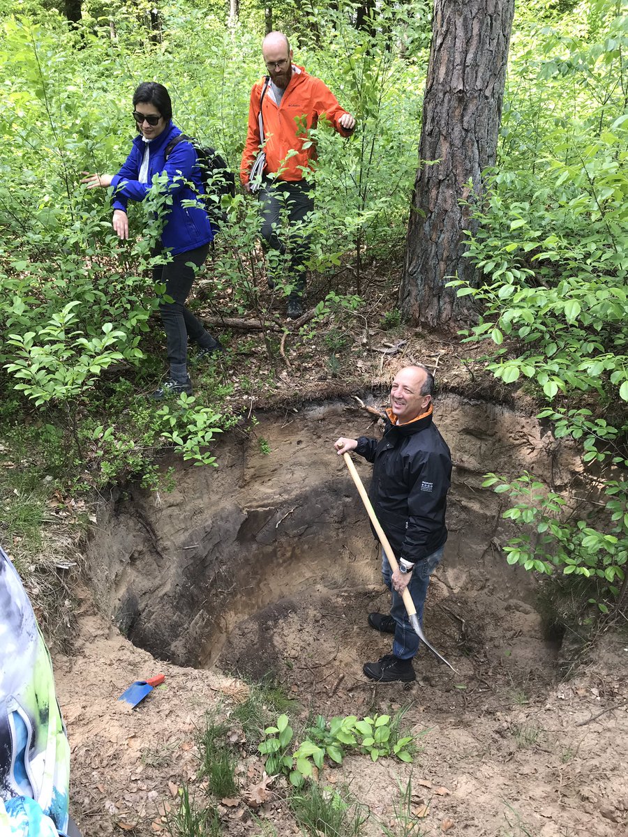bioluisinho's tweet photo. ...into the pitch today with @stephanmantel for real field exercises of #soil classification.
Can you name the beautiful soil in these photos?
.
.
.
.
.
.
“Dystric Brunic Regosol over Plaggic Podzol”
(2 soils, 1 over the other, a tricky one) 😬🥴🤯
#ISRIC #Wageningen https://t.co/gznCTbsec9