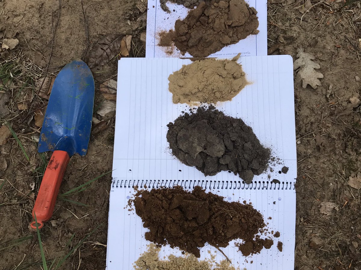 bioluisinho's tweet photo. ...into the pitch today with @stephanmantel for real field exercises of #soil classification.
Can you name the beautiful soil in these photos?
.
.
.
.
.
.
“Dystric Brunic Regosol over Plaggic Podzol”
(2 soils, 1 over the other, a tricky one) 😬🥴🤯
#ISRIC #Wageningen https://t.co/gznCTbsec9