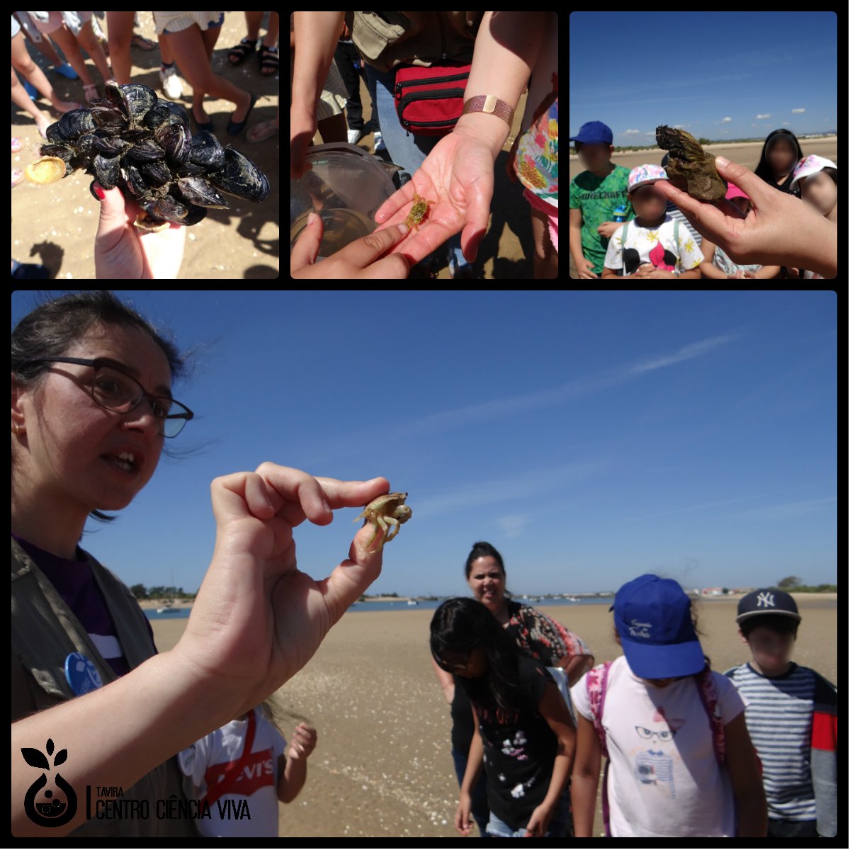 CCVTavira's tweet photo. Qual a melhor maneira de celebrar o #DiaInternacionaldaBiodiversidade? Explorando a #Natureza à nossa volta! Nas poças de maré do Forte do Rato em #Tavira, a #biodiversidade é tanta que uma hora só não chega para descobrir tudo. #IBD2019 #BiodiversityDay #Algarve #RiaFormosa https://t.co/79kRiOL9l5
