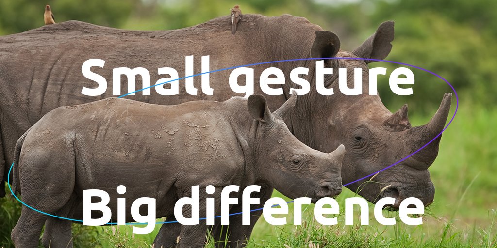 Today is the #InternationalBioDiversityDay! A day to increase the awareness about biodiversity challenges. Wondering what you can do? Support a meaningful and concrete solution to protect #rhinos by making a donation here: bit.ly/HelpSaveRhinos Small gesture, big difference!