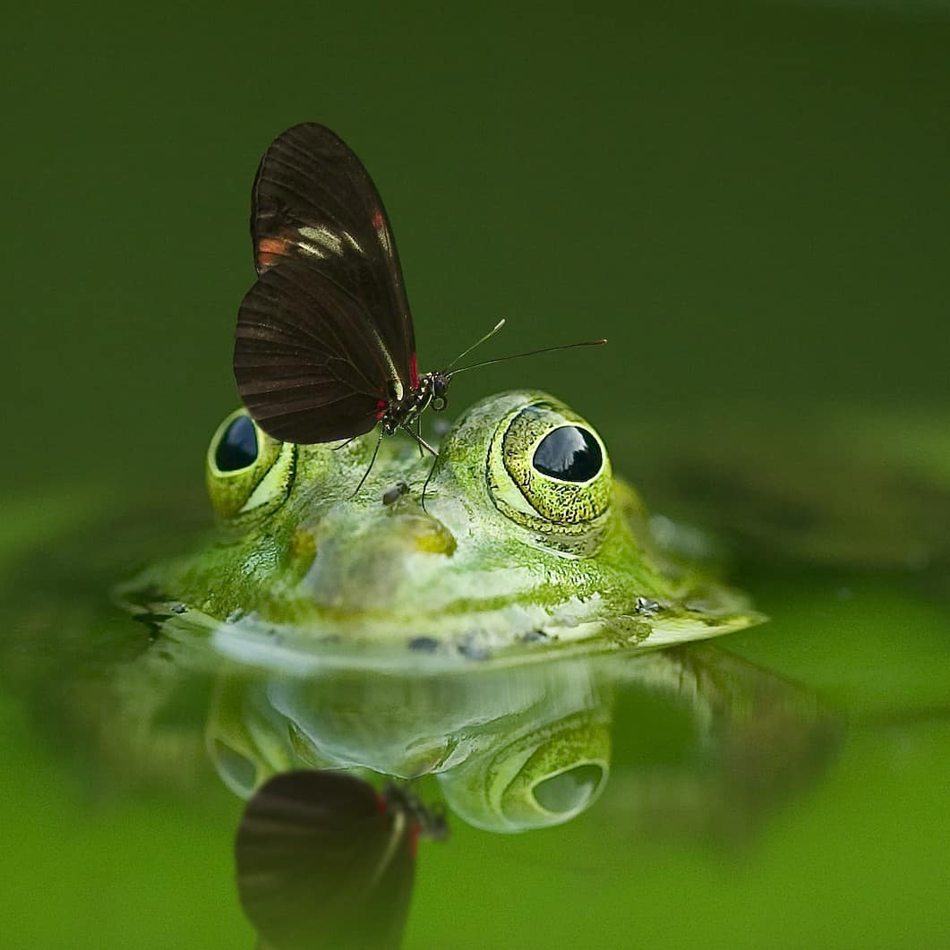 🌺 Keep using the hahstag #wanderlustXL on all your posts for a retweet 🌺