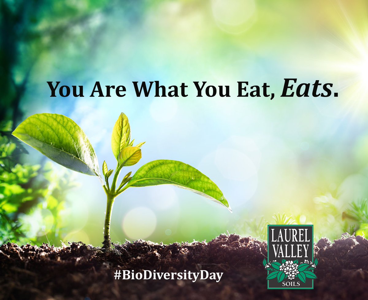 Laurel Valley Soils tweet media