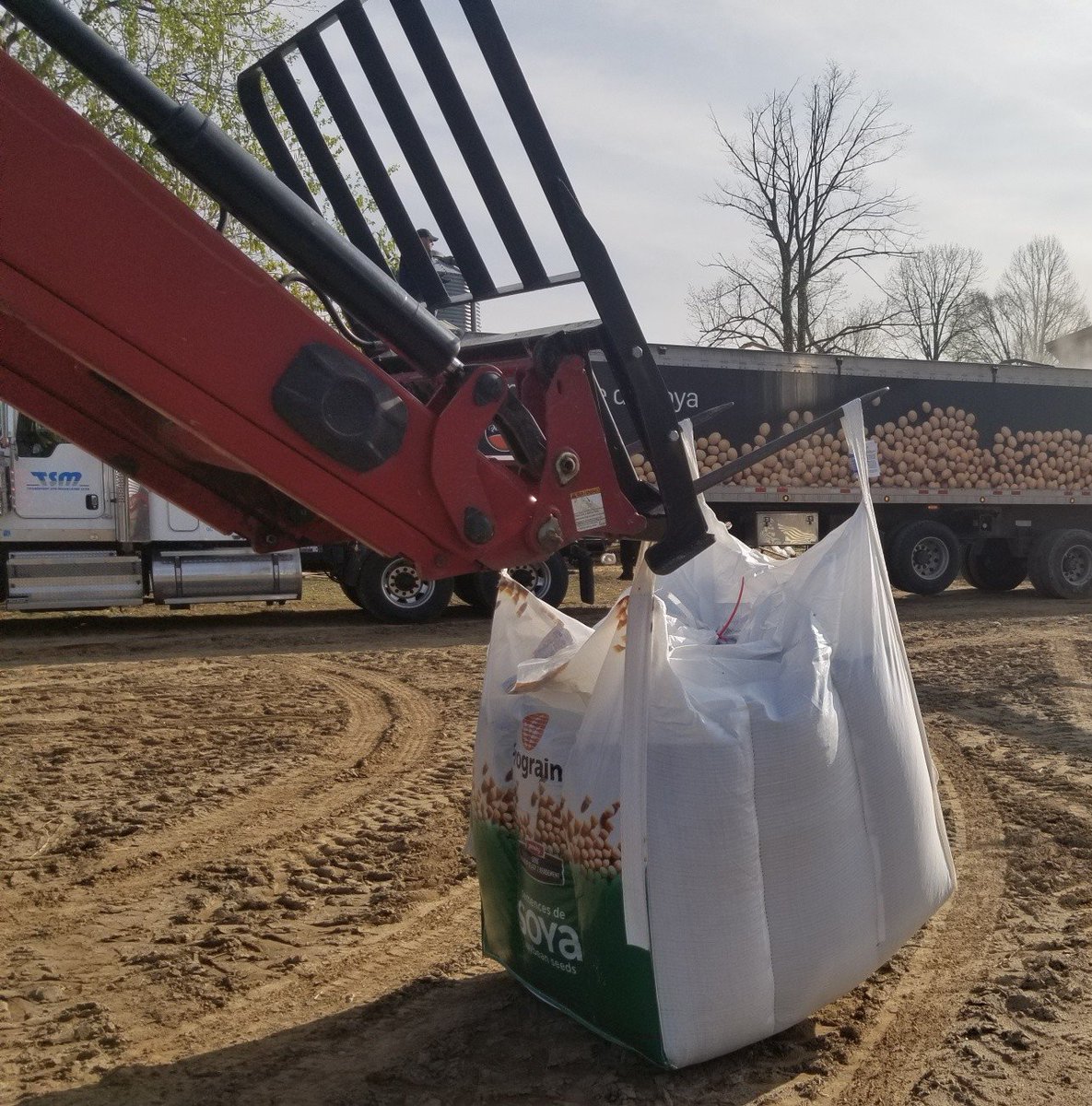 Prograin_inc's tweet photo. Livraison de semences chez Matheson’s Customs ce matin. #semis2019 #soya
Soybean has arrived at Matheson’s Customs this morning. #planting2019 #OntAg #soybeans https://t.co/t8jpQytOBd