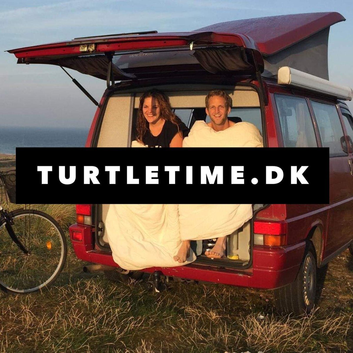 TurtleTimeDK's tweet image. Tweets are too short for us 😊