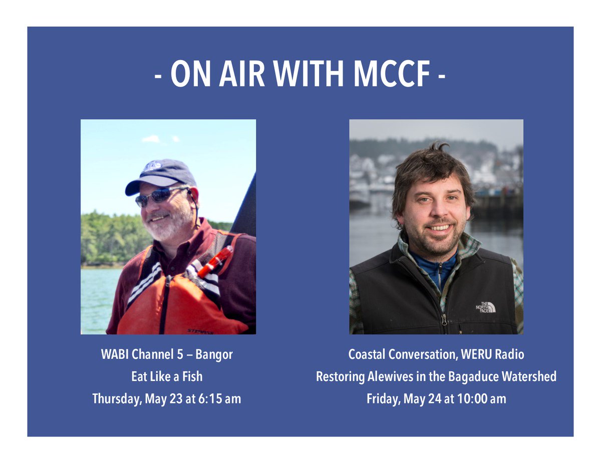 mccfisheries's tweet image. Join the MCCF team for some #CoffeeTalk as we chat about @EatingEcosystem and local alewives restoration work with @WABI_TV5 and @werufm. 

#OnAirWithMCCF #SaltWaterFreshThinking #TuneIn