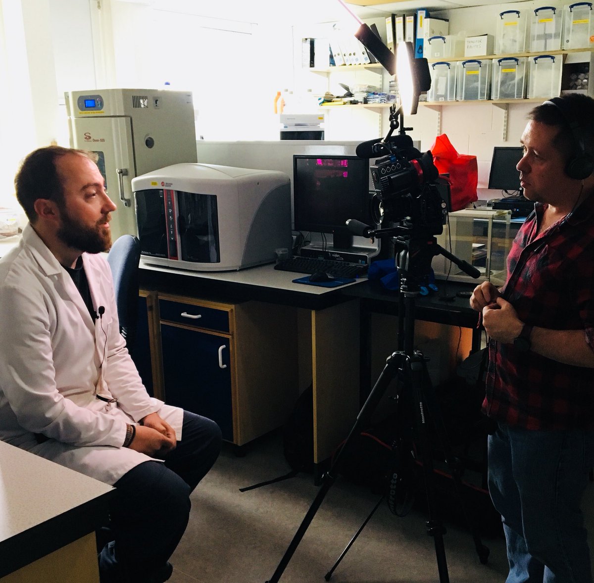 Mortimer Werther tweet media