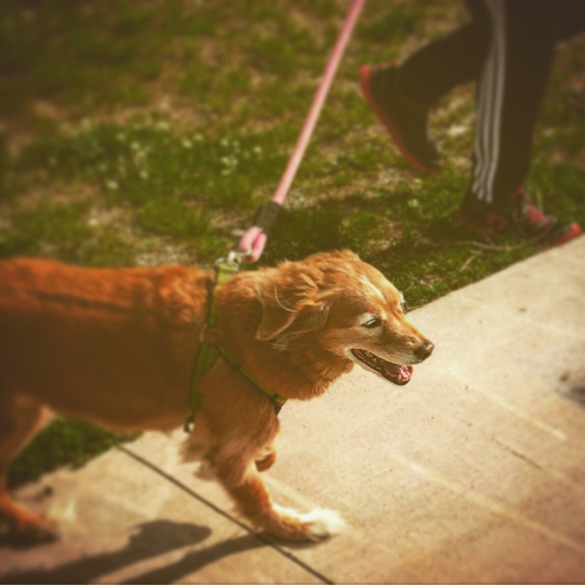 Webster Station tweet media