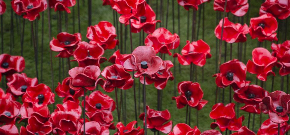 USAA's tweet photo. USAA Member Community urging others to join them in dedicating a poppy to honor the fallen for Memorial Day - https://t.co/aEbYFpaK3X https://t.co/gjSxG3WIIe