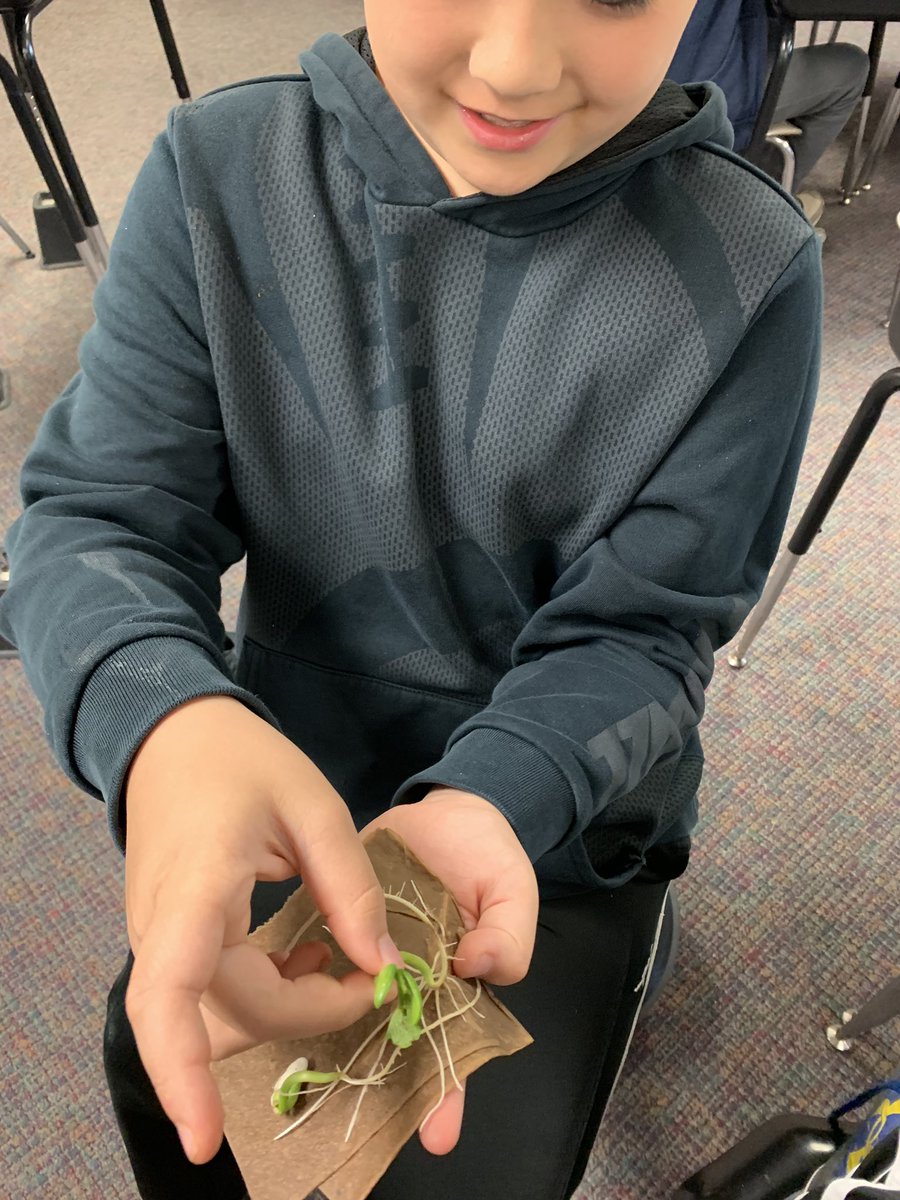 mrshoehing3's tweet image. #multigraders learning about plants in science! They are so excited!  @VioletAllStars #MyLSPS #ATeachersImpact
