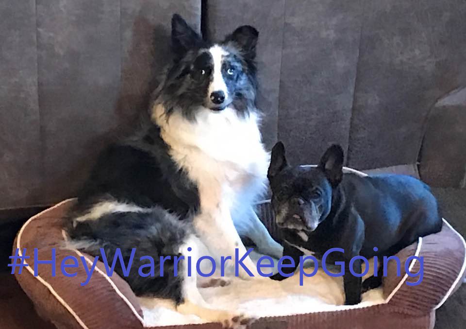 VetTechs's tweet photo. "Our profession is facing a depression & suicide crisis. What will it take for each of us in the vet prof to slow down, focus on our teammates, & focus on ourselves?" - @KaraMBurnsLVT
https://t.co/he62dhxPFu
#MentalHealthAwarenessMonth
#HeyWarriorKeepGoing https://t.co/J3mhmWDF2Y