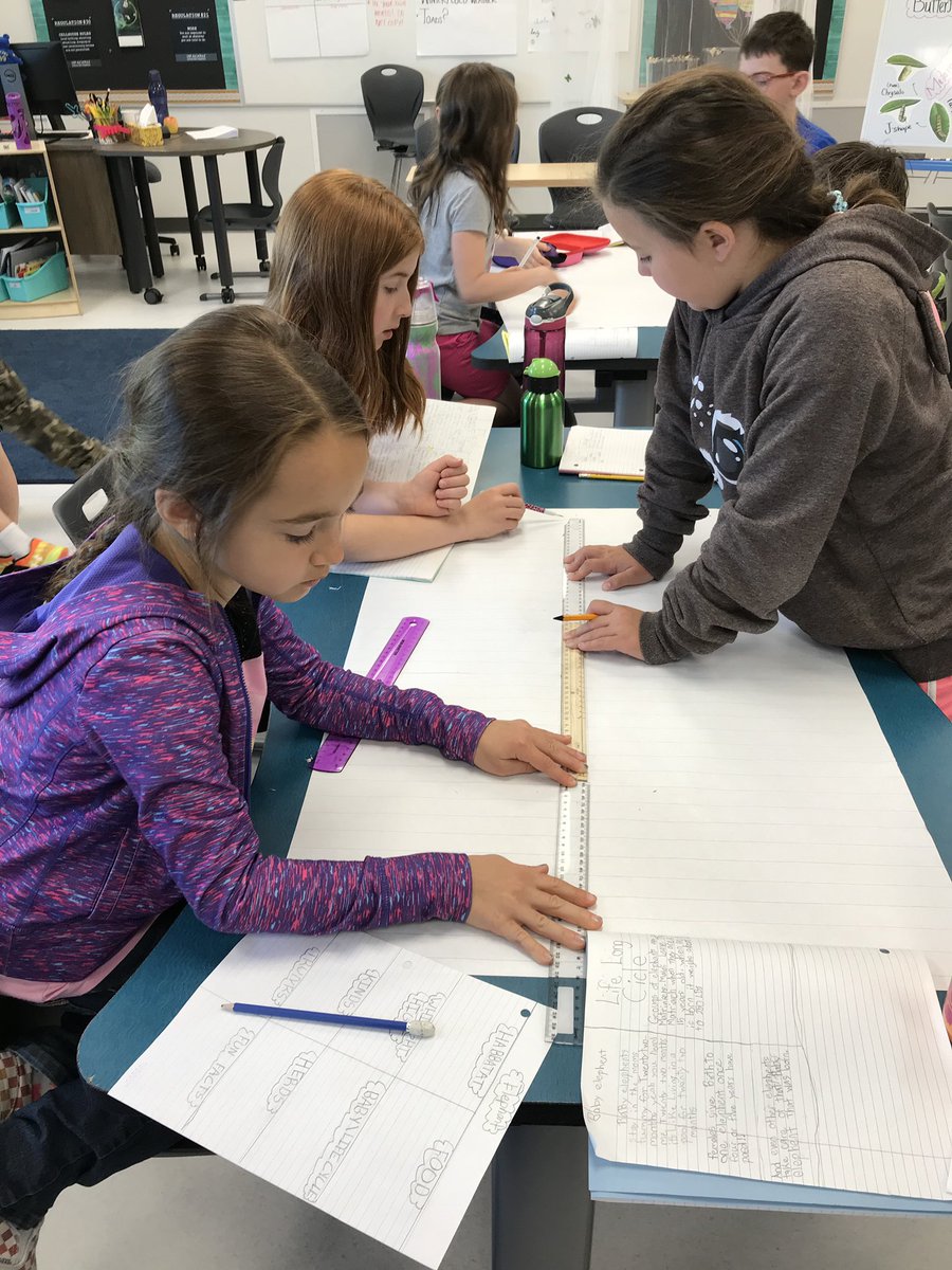 MsRice62's tweet photo. Researchers hard at work. Talking about animal life cycles #eips #eipsteaches #readersworkshop #dce #dcemustangs #ricepower #grade3 https://t.co/l1BlMonFAZ