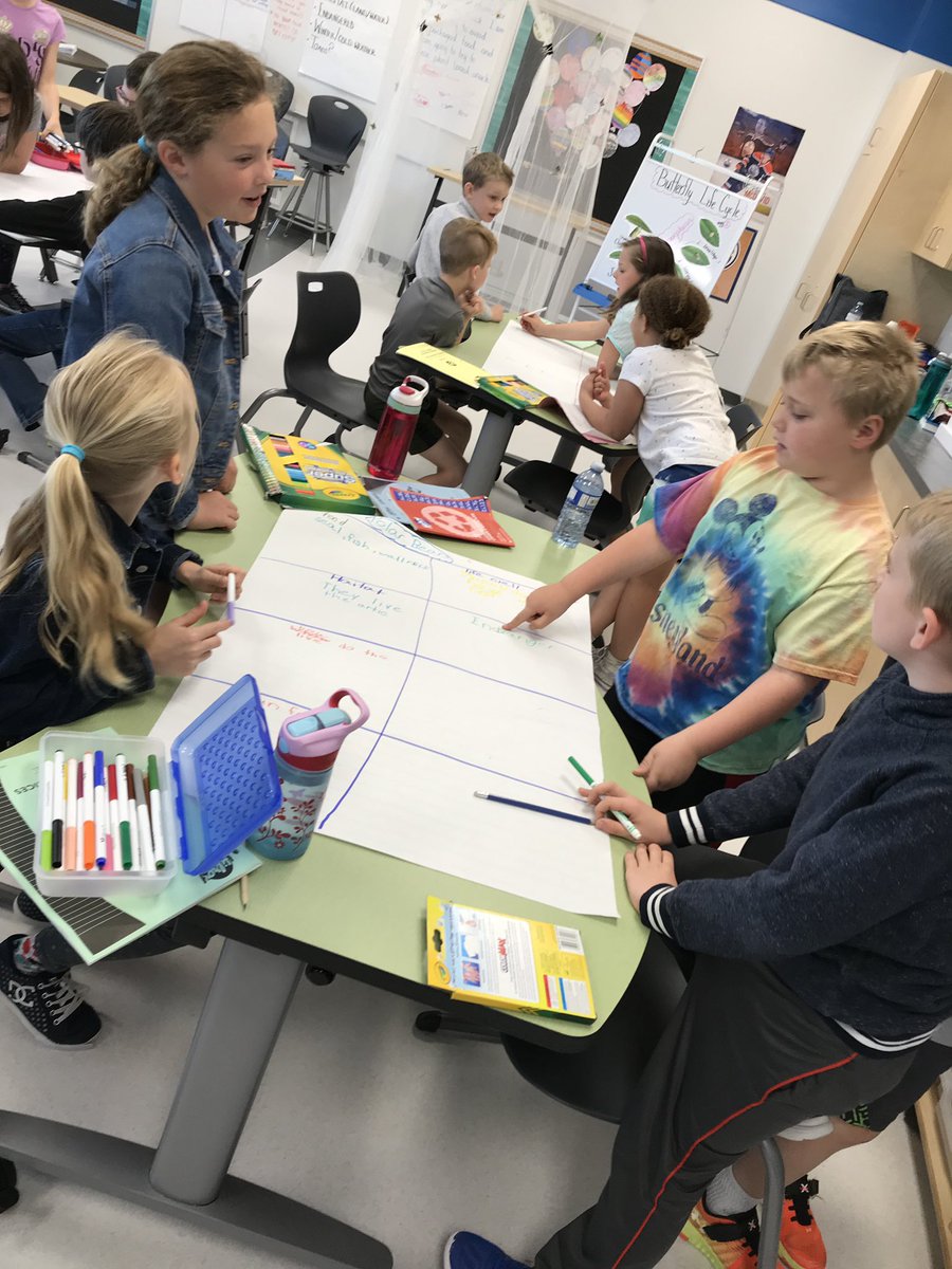 MsRice62's tweet photo. Researchers hard at work. Talking about animal life cycles #eips #eipsteaches #readersworkshop #dce #dcemustangs #ricepower #grade3 https://t.co/l1BlMonFAZ