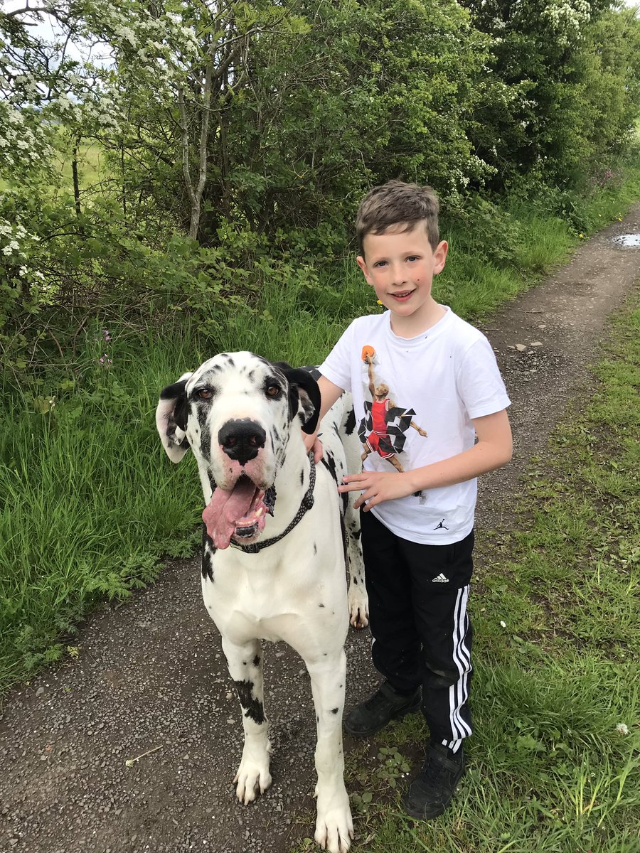 KatieWent's tweet photo. Taking Elvis for a walk #MM4Mattocks @mattocks_ps https://t.co/sBxd7QYpS9