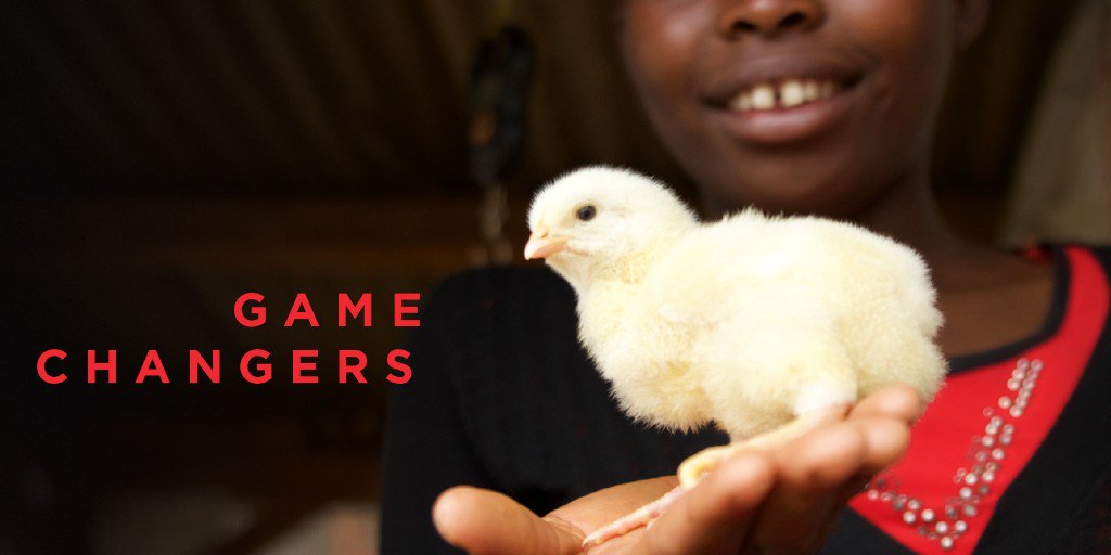 Our_Tennessee's tweet photo. Meet Agnes and her chick, the stars of our spring 2019 cover. Farmers are changing their lives one chicken at a time in Rwanda with some help from the @UTIAg Smith Center for International Sustainable Agriculture. 

Read more about the center here: https://t.co/mOC9uwCuu4 https://t.co/sSXLDaKmZ3