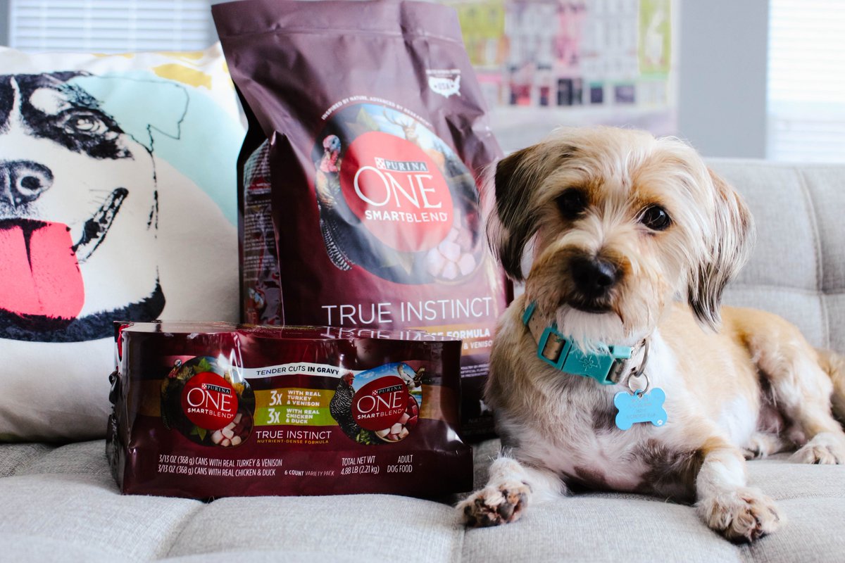 We got a 4th dog! 😳 😜 I wish every dog had a home &amp; every home had a dog. Getting a dog is a life commitment &amp; takes a lot of responsibility. Take a look at my checklists &amp; see if you're ready for the next steps. #PurinaNextSteps #ad ➡️ wp.me/p3syKD-1M6
<a href="/Purina/">Purina</a> <a href="/Walmart/">Walmart</a>