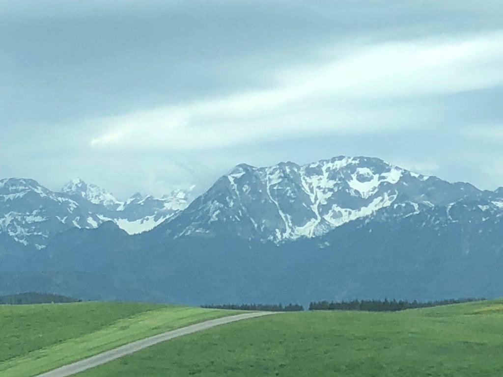 EIbe1's tweet photo. Die Alpen in Griffweite.
#Halblech https://t.co/7qMm9fGvAo