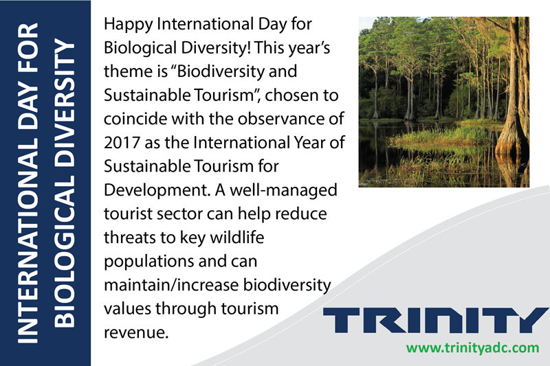 TrinityADC's tweet photo. May 22nd is International Day for Biological Diversity. 
#Biodiversity is the living fabric of our #planet. The main global drivers of biodiversity loss are climate change, invasive species, over-exploitation of nat... #resources, #pollution #urbanization.
https://t.co/N2Si0gnQIp https://t.co/96RmI0vZIT