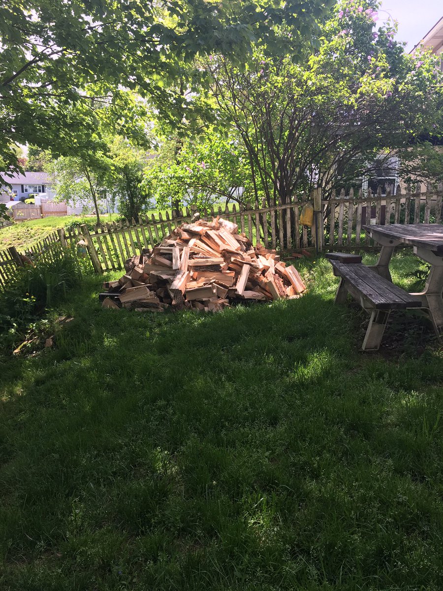 MargWarrington's tweet photo. Welcome home, time to chop wood for 3 hours a day #upstateproblems https://t.co/hTFXmcBTzw