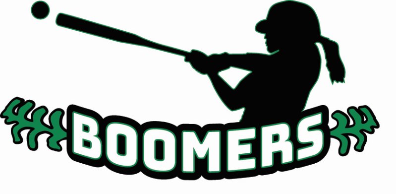 Check out the snazzy new logo, created by a local high school senior! Thanks, Heather! facebook.com/upstatenyboome…