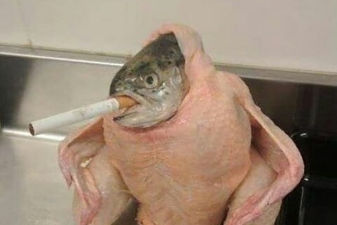 Mika💨 tweet media