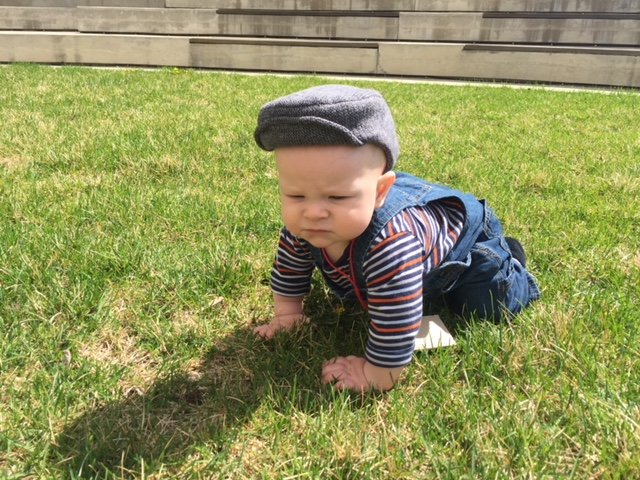 Office Revolution tweet media