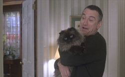 VCAPetHealth's tweet photo. Mr. Jinx, the pride and joy of Jack Byrnes is what kind of breed? #MeetTheParents #KnowYourPet #lifeLearn #CatBreeds https://t.co/K92GCf3uj5 https://t.co/IOBTYfFV7a