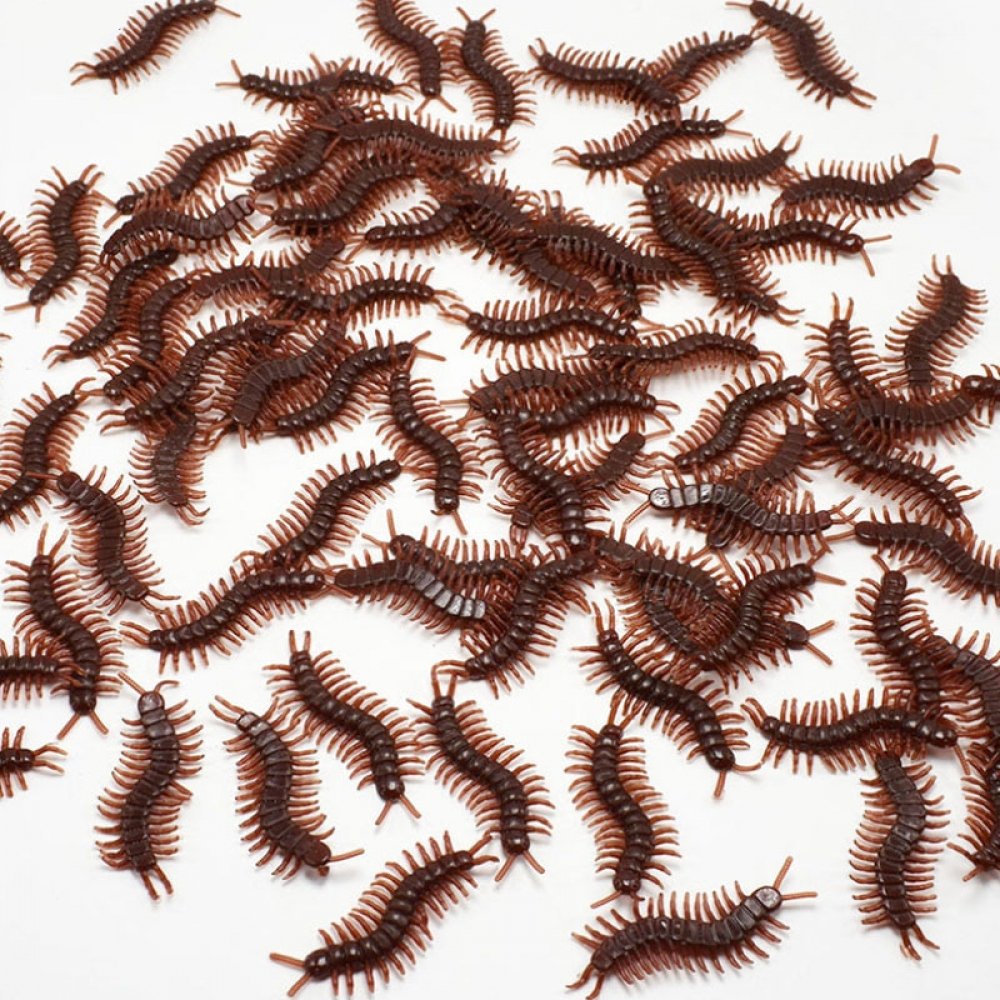 NoveltyNBeyond's tweet photo. #AprilFools #FakeBugs #HalloweenBugs #PranksterBugs Fake Rubber Bugs and Lizards - 10 Pack on Sale for $5.29 at https://t.co/zWJHtcq2t9 https://t.co/Z5rqna0ct5