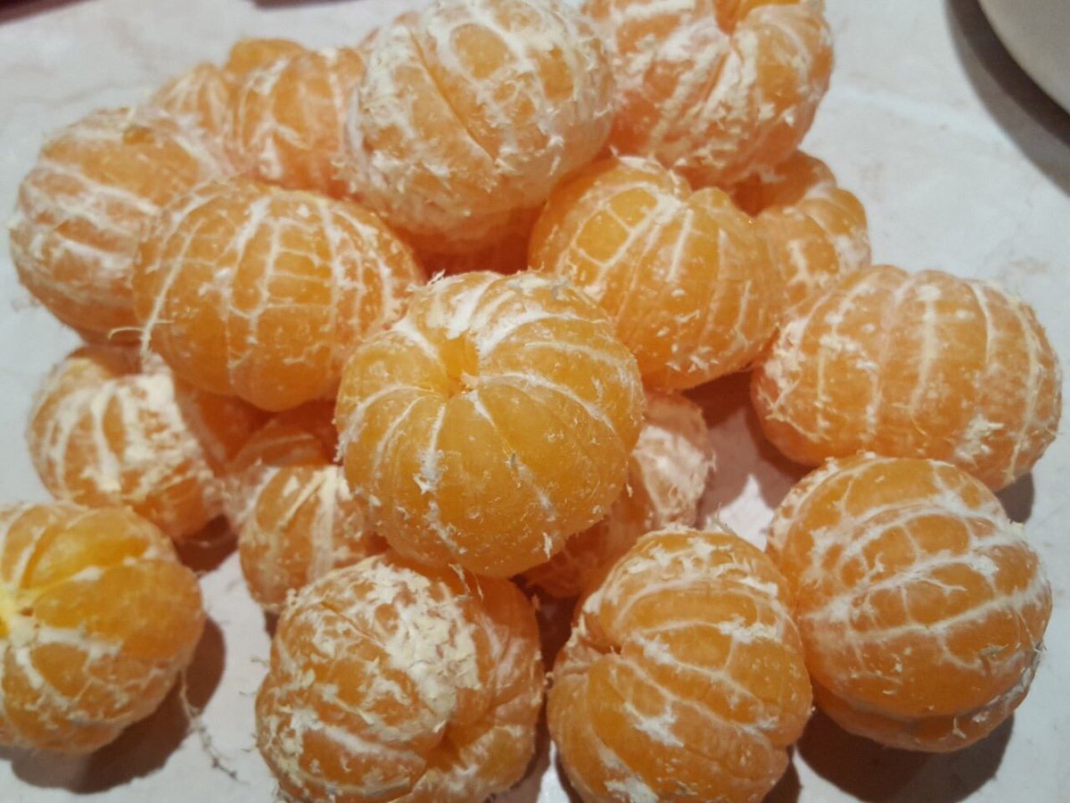 Joajec's tweet photo. Y si nos sentamos en él pasto, en en sol y comemos mandarinas mientras hablamos al pedo? https://t.co/vVXCoFUU1Q