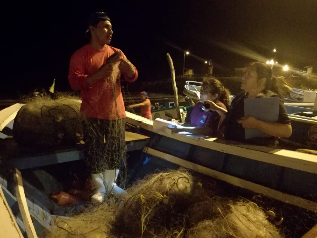 IpiapEcuador's tweet photo. Investigadores de @InpEcuador realizan seguimiento de la pesca artesanal de peces demersales en #Engabao provincia del #Guayas, las especies más capturadas durante estos días son #LaMojarraDeAletaAmarilla #Pampano y #Cachema 🐟🐟🐟 https://t.co/MuRol2HIoS